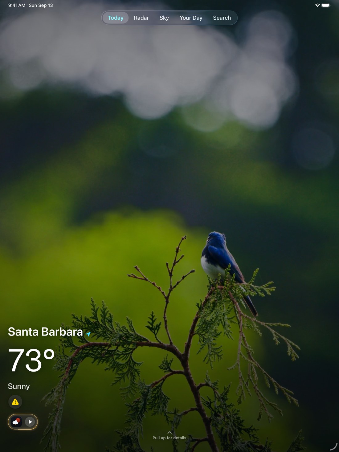SkyMochi on iPad in the Immerse view: a live photo backdrop filling the whole screen, the tab bar along the top, and the place, the temperature and the conditions set quietly in the lower corner.